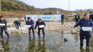 경북수산연구원, ‘민물의 웅담’ 어린다슬기 7개 시군 하천에 방류